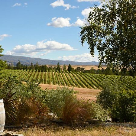 Grey Ridge Vineyard Experience Bed & Breakfast อเล็กซานดรา ภายนอก รูปภาพ