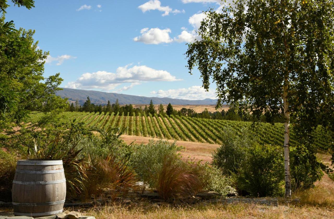 Grey Ridge Vineyard Experience Bed & Breakfast อเล็กซานดรา ภายนอก รูปภาพ