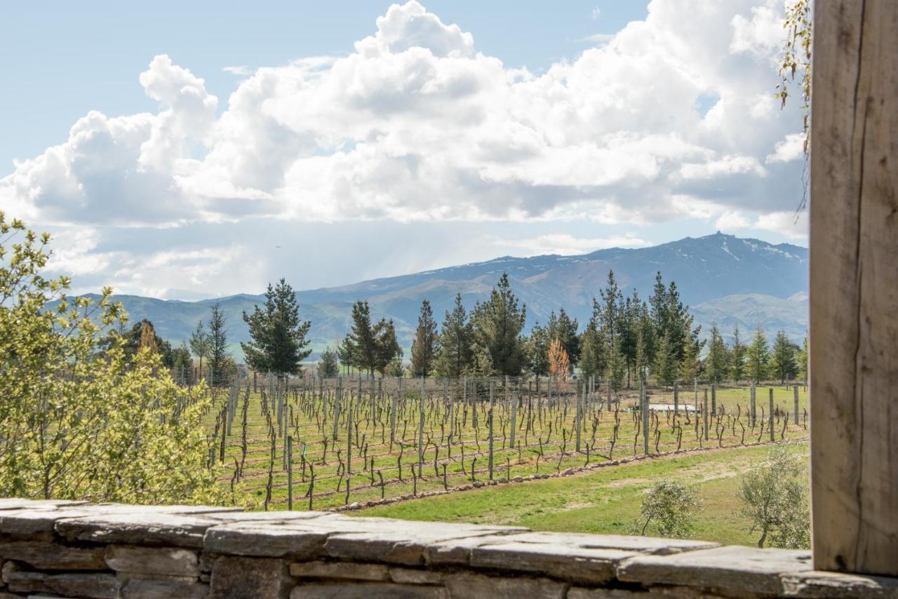 Grey Ridge Vineyard Experience Bed & Breakfast อเล็กซานดรา ภายนอก รูปภาพ